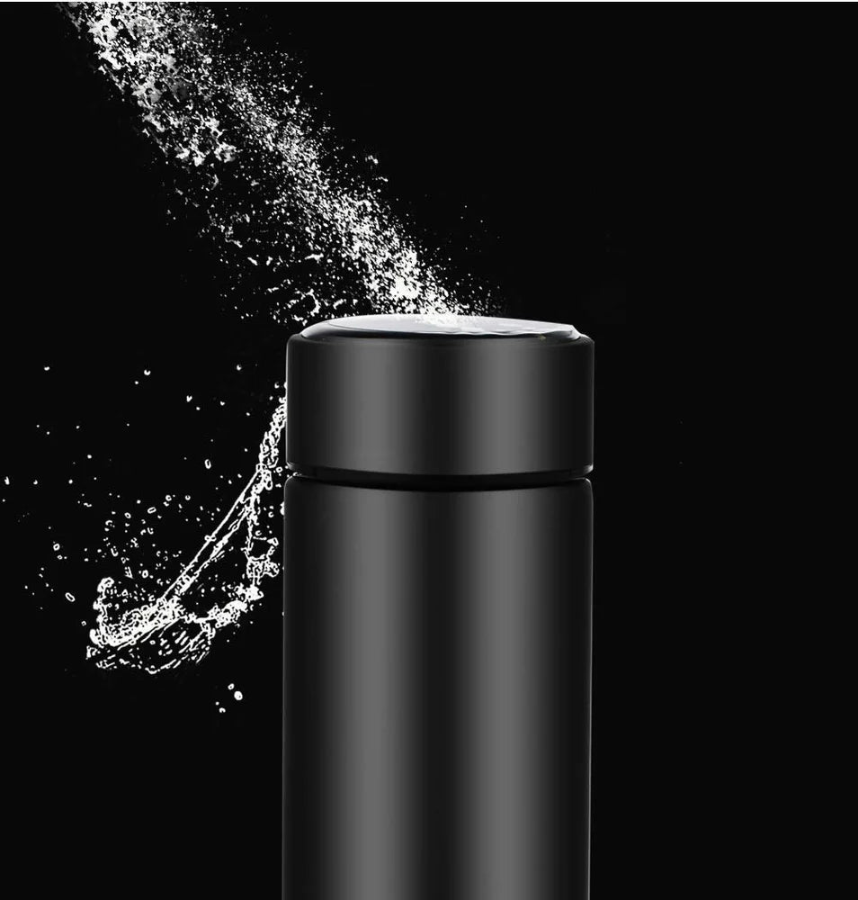 Temperature Water Bottle