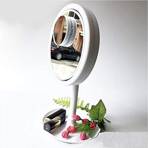 LED Makeup mirror with fan